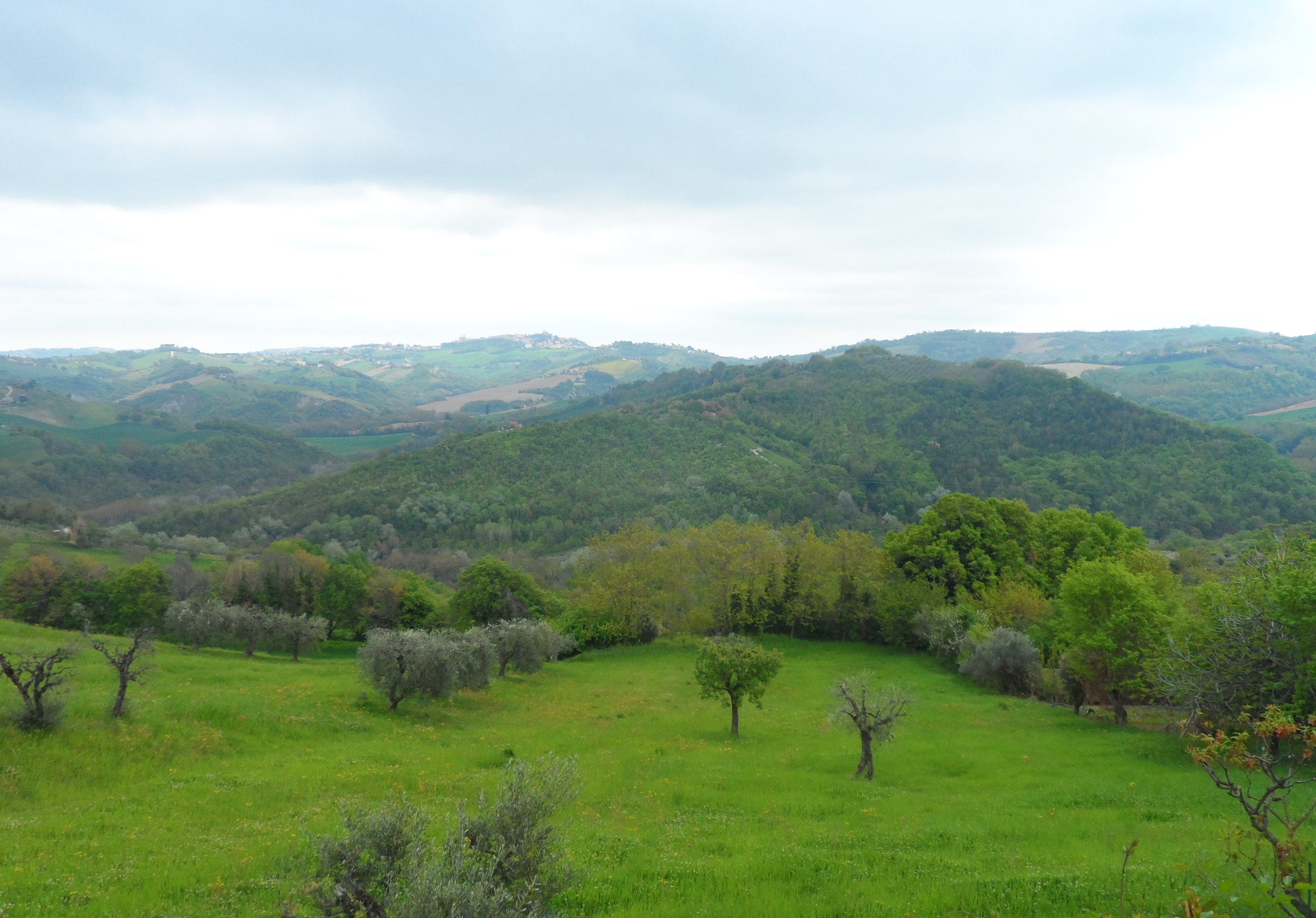 Camminare, accogliere: riscoprire insieme luoghi, storie, relazioni… a piedi